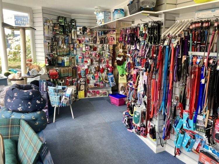 PET SUPPLIES & HAIR SALON (Operated by self-employed stylists)