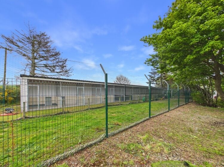 Established rural dog food and kennels business opportunity Photo 2