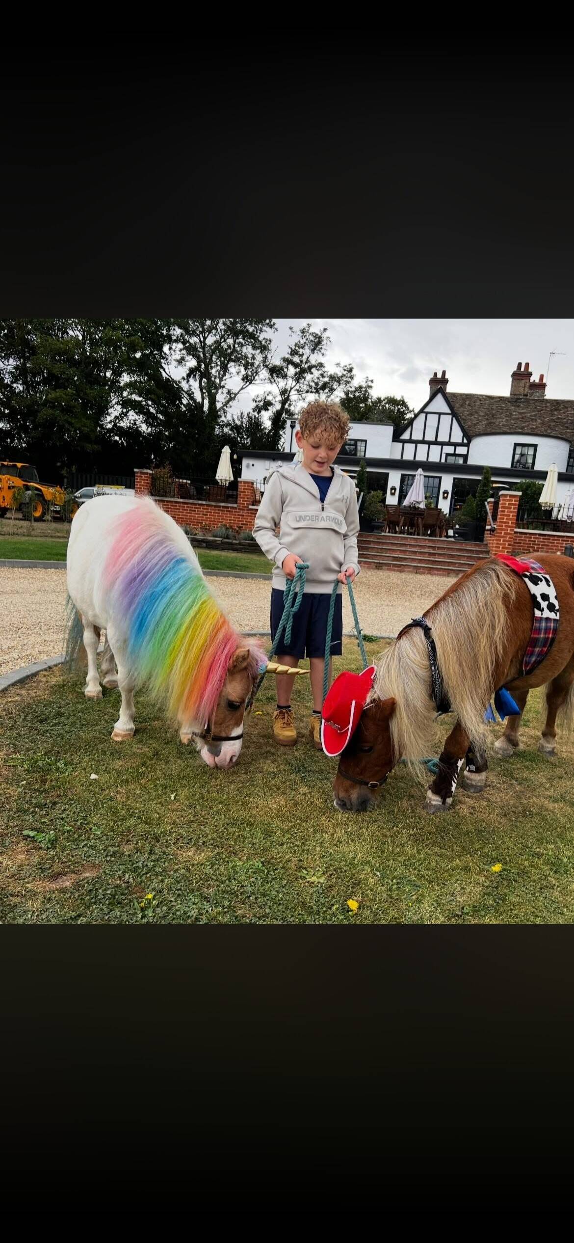 Miniature Pony Event Party Provider Business