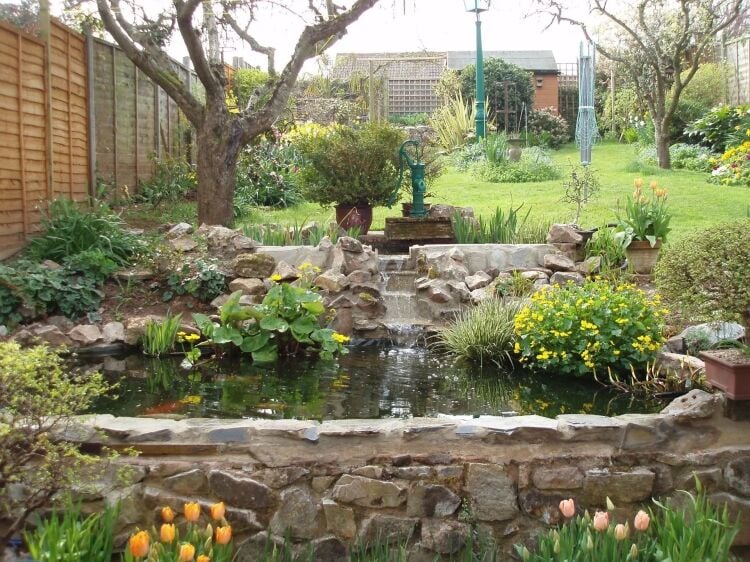 GARDEN POND MAINTENANCE & INSTALLATION Photo 2