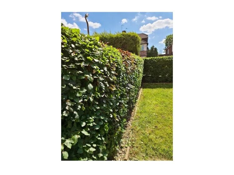 Bring Outdoor Dreams to Life – Thriving Landscaping & Garden Design Business