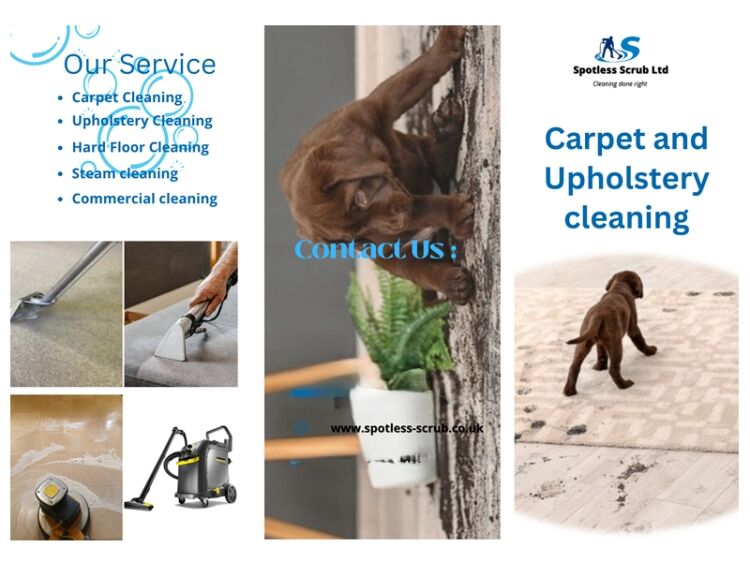 Bring Surfaces Back to Life – Thriving Carpet & Upholstery Cleaning Business Photo 2