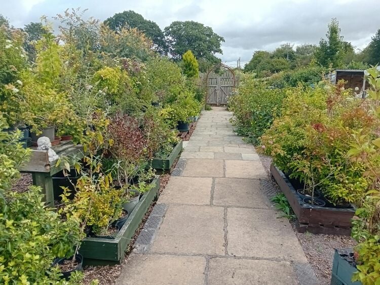 Beautiful Freehold Garden Nursery, Tea Rooms & Therapy Centre