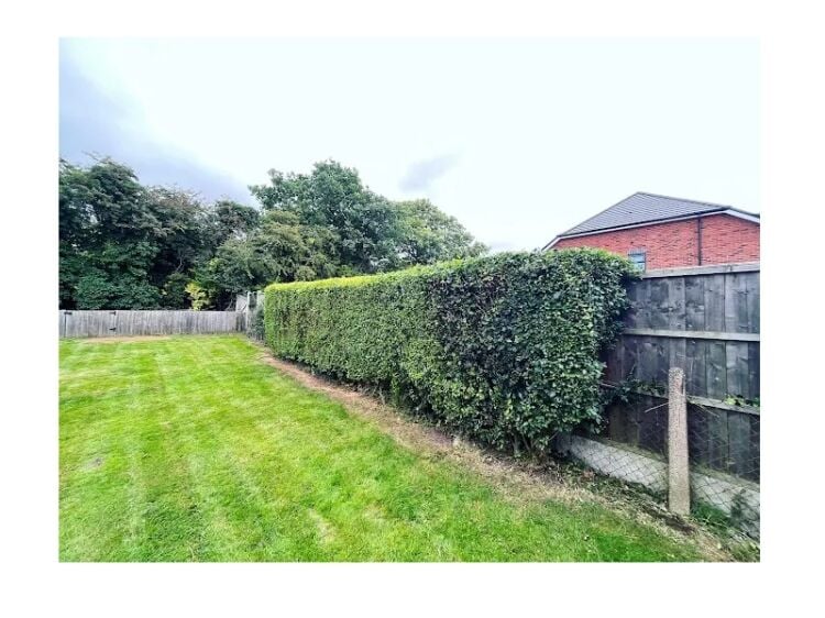 Make Outdoor Spaces Shine – Established Gardening & Landscape Maintenance Business