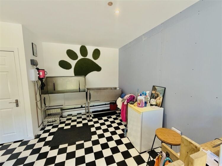Pets, Supplies & Services For Sale in Brighouse Photo 2