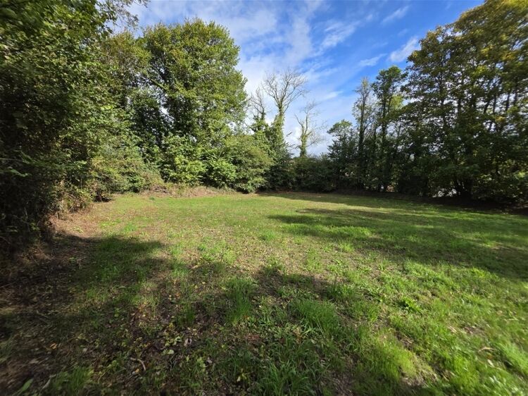 Auction Lot: Building Plot at South Milton, Kingsbridge, Devon For Sale in Kingsbridge
