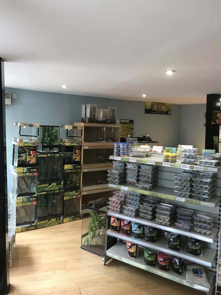 EXOTIC LIVE PETS EMPORIUM IN DUNDEE SUBURB