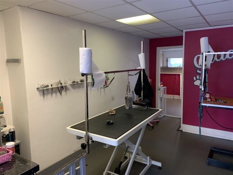 POPULAR DOG GROOMING SALON & RETAIL ACCESSORIES IN SOUTHPORT Photo 3