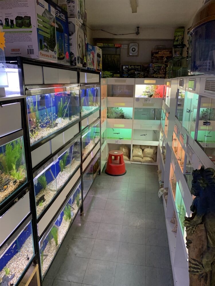 LIVE PETS & SUPPLIES EMPORIUM IN YORK SUBURB Photo 3