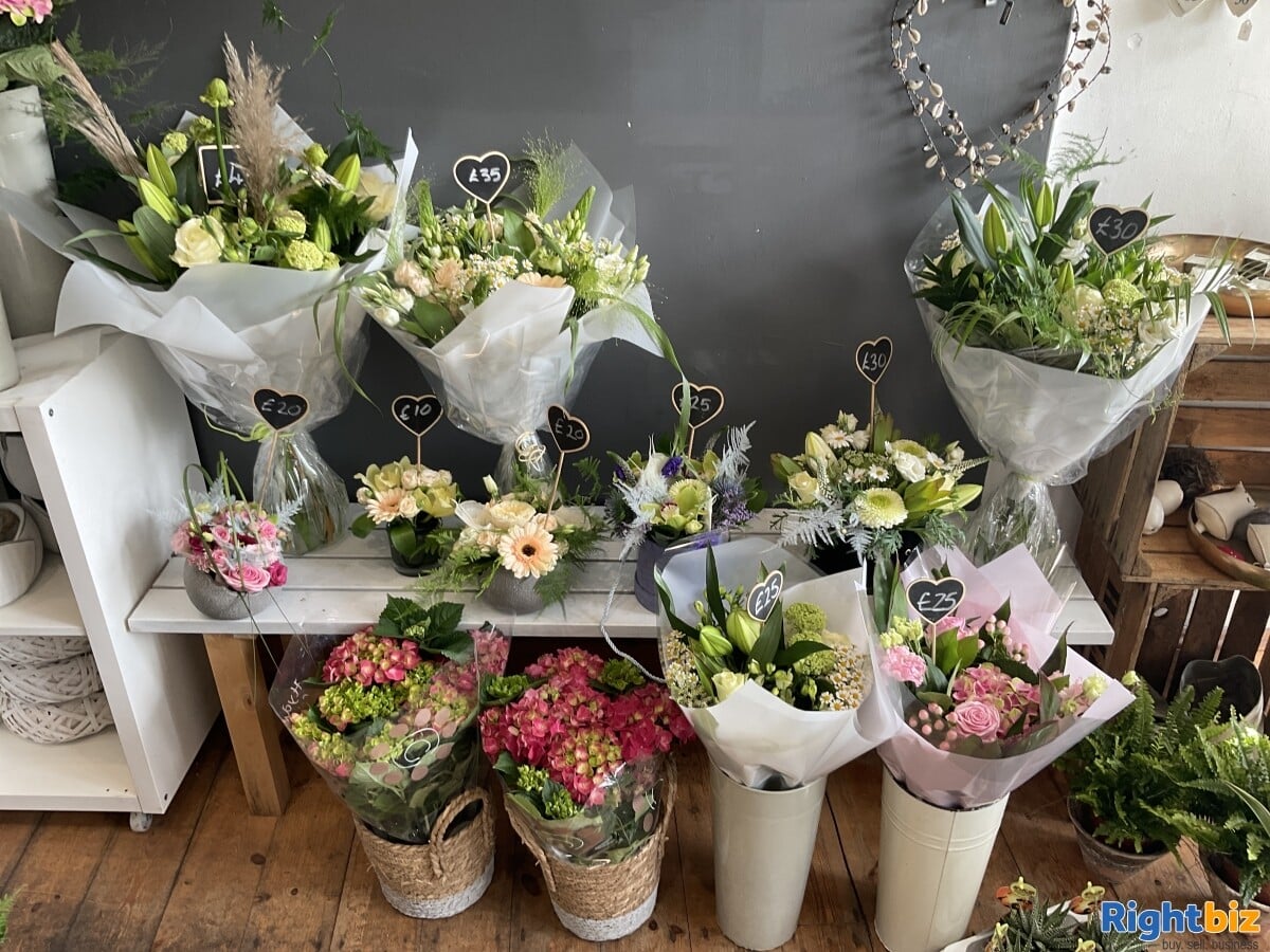Well Established Florist / Giftware Shop