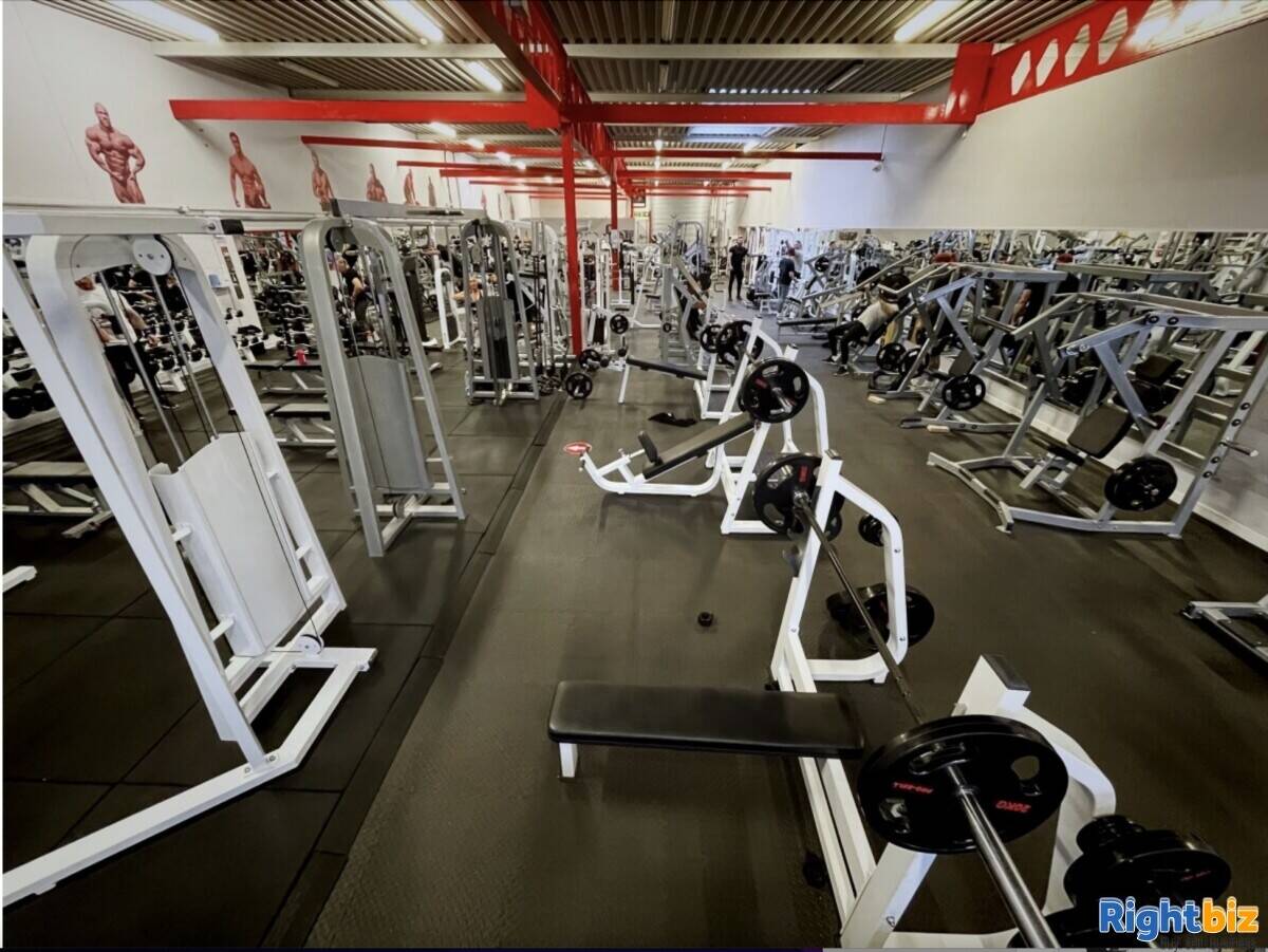 Superb 28% Gym Share For sale- Eastbourne 28% quick sale!