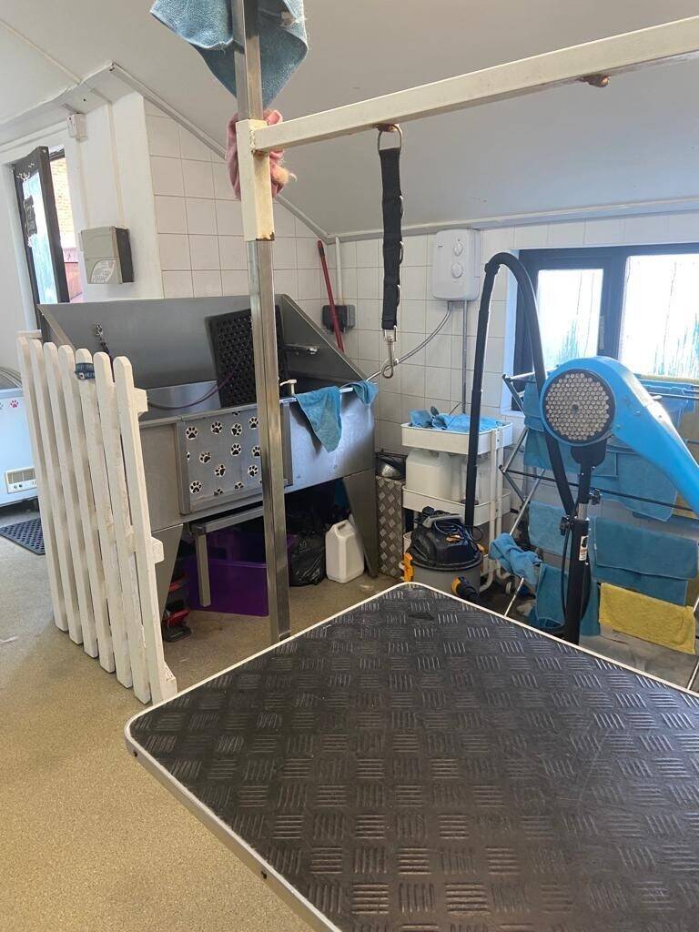 Established Dog Groomers in an Excellent location. Herongate, Brentwood Essex Photo 3