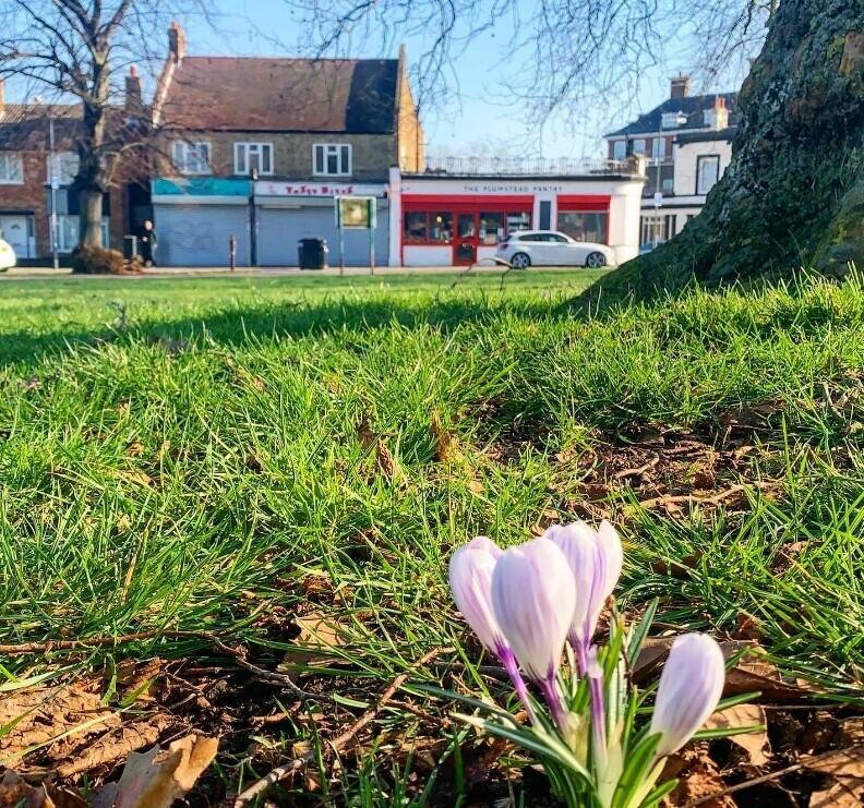 Popular Leasehold Café, Bistro For Sale