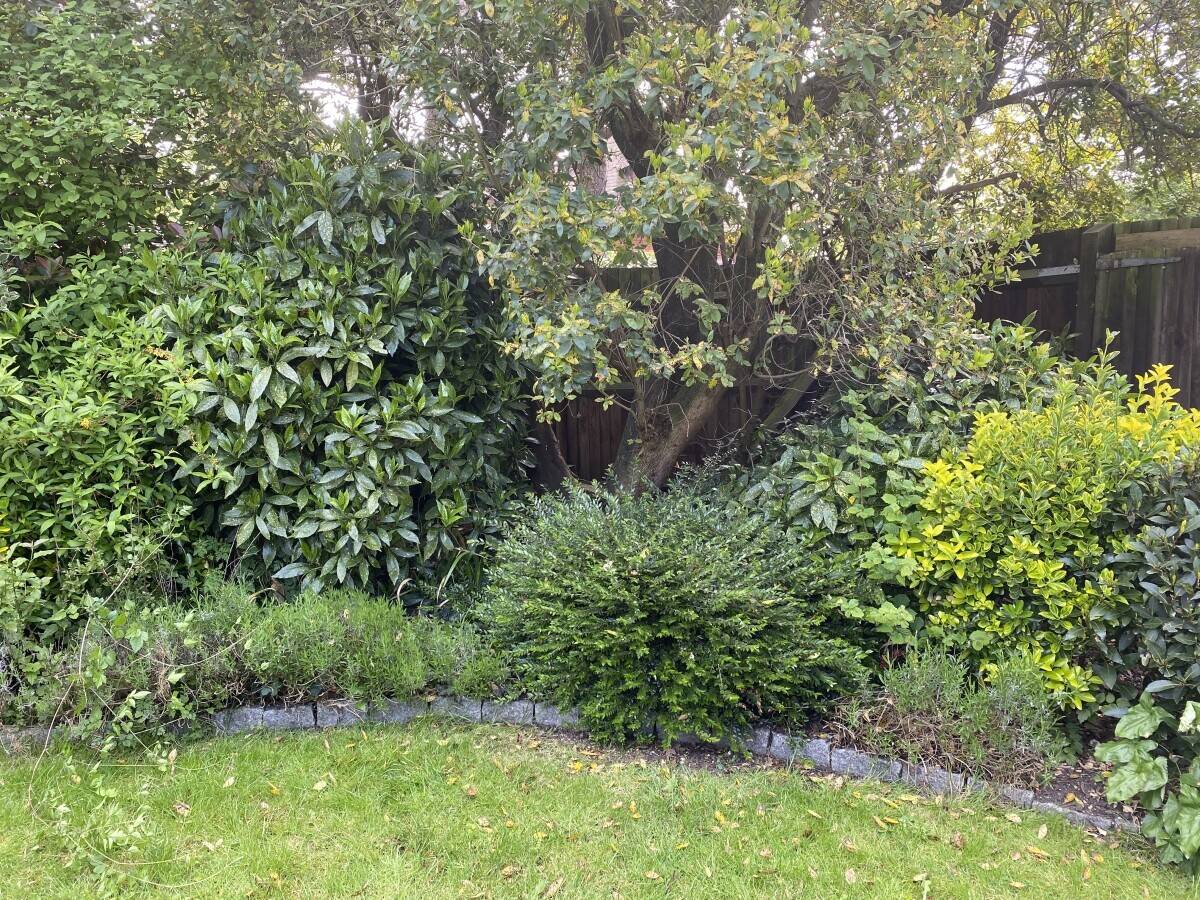 Gardening business in Chandlers Ford Hampshire Photo 3