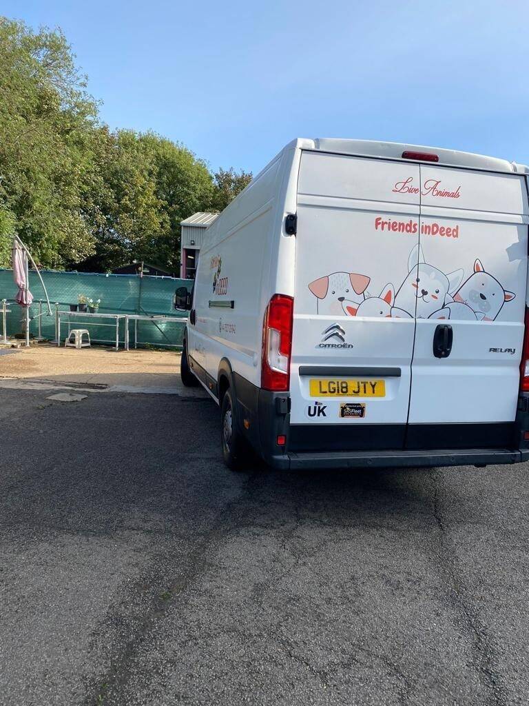 International Pet (Dogs and Cats) Transport Van - with all Licenses Photo 4