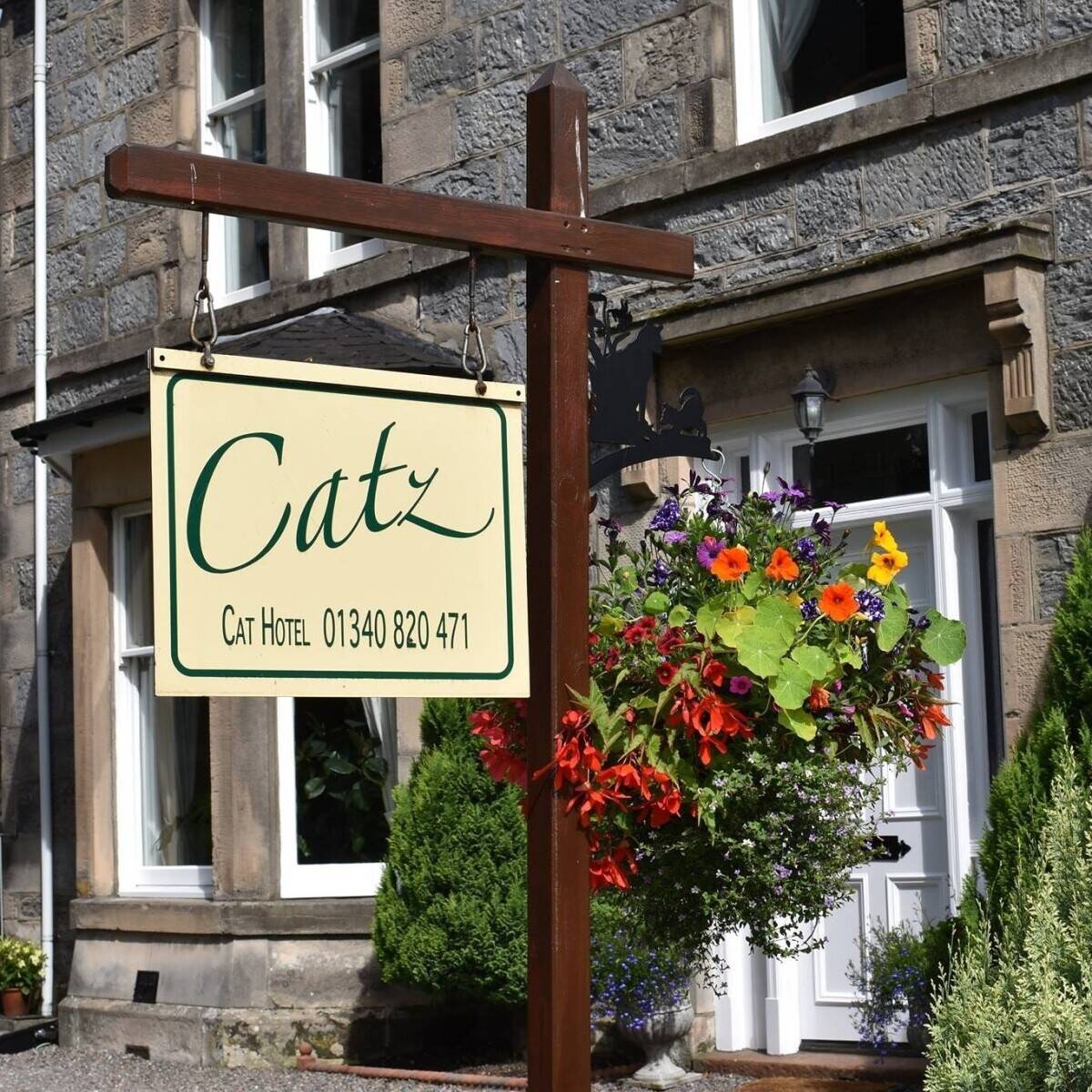 Successful in-house cattery for sale, Dufftown