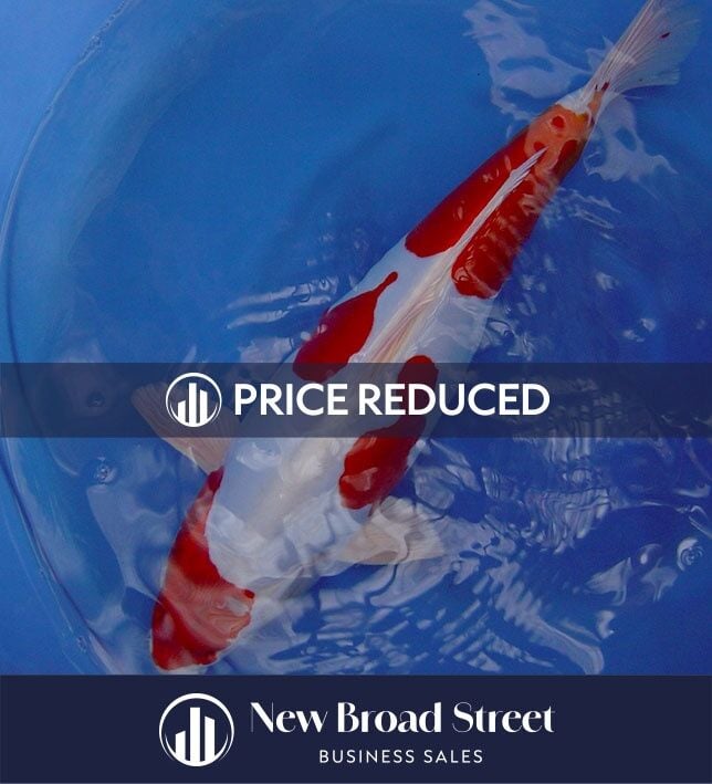Koi Carp Business - Henley - OFFERS INVITED £125K Photo 3