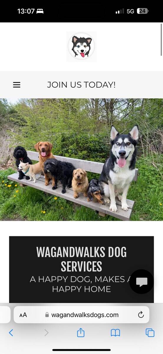 Wagandwalks Profitable Dog Walking & Care Business for Sale