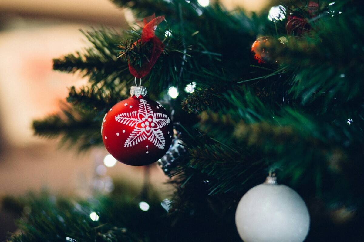 Fast-Growing Christmas Decorating Business in Lincolnshire Photo 3