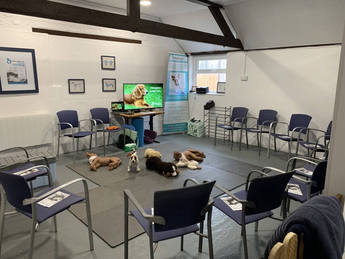 Dog First Aid Training for sale in Gloucestershire - Franchise
