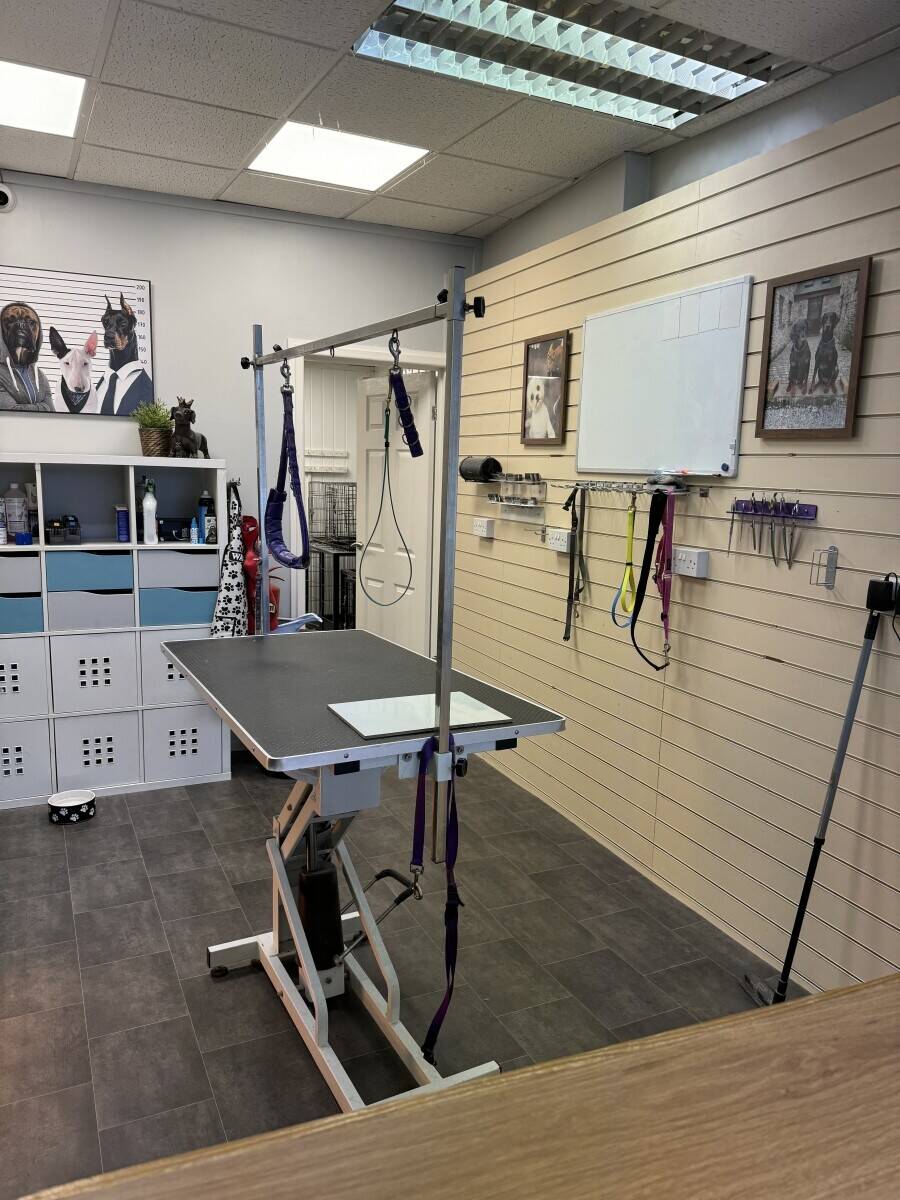 Dog grooming business for sale Tonypandy  Photo 3