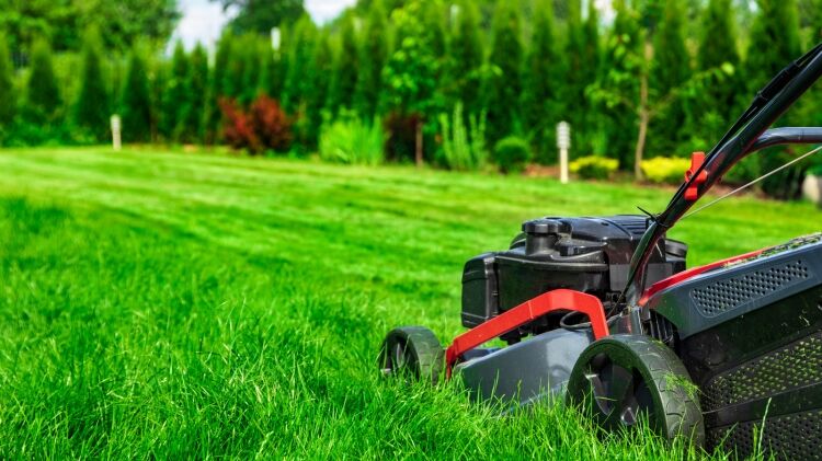 Profitable Gardening & Landscaping Business Based in Bristol