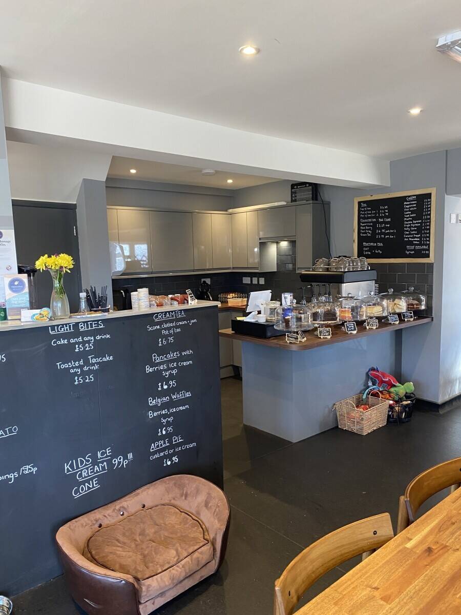 Dog friendly cafe