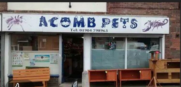 PET SUPPLIES & ACCESORIES busy trading locality YORK Photo 3