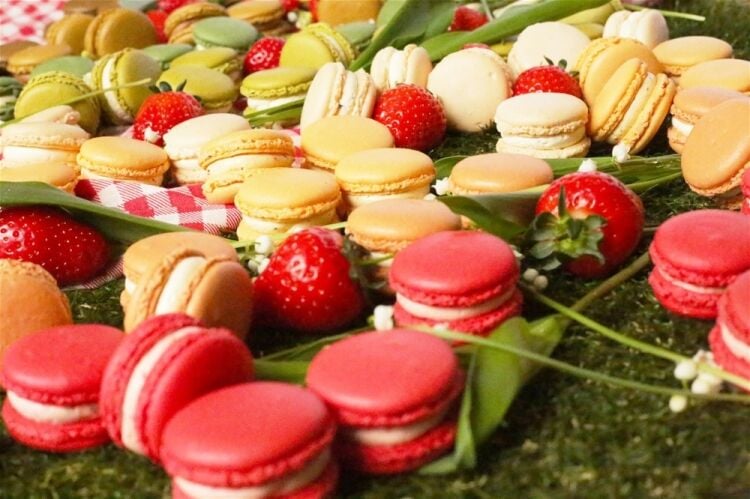 AWARD-WINNING ARTISAN MACARON BRAND WITH STRONG REPEAT BUSINESS