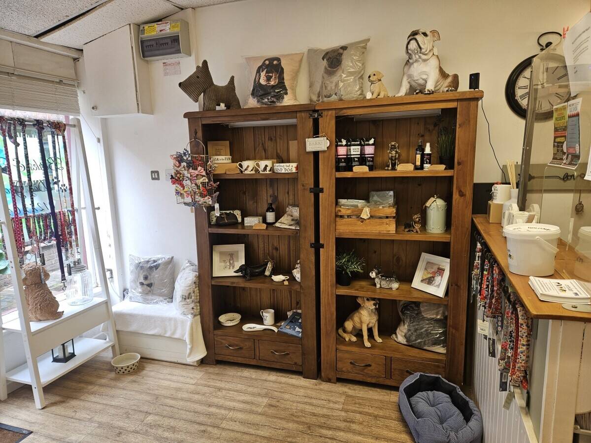 Dog grooming business in Henfield 