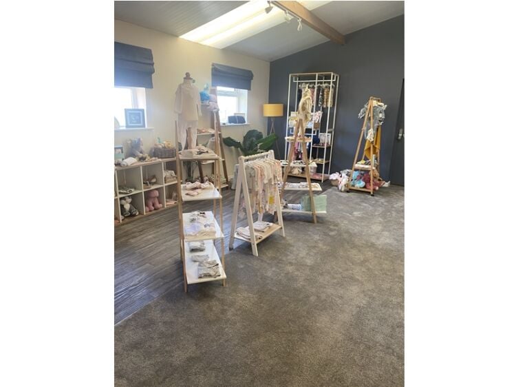 Bump into Business – Premium Pregnancy Scan Clinic for Sale
