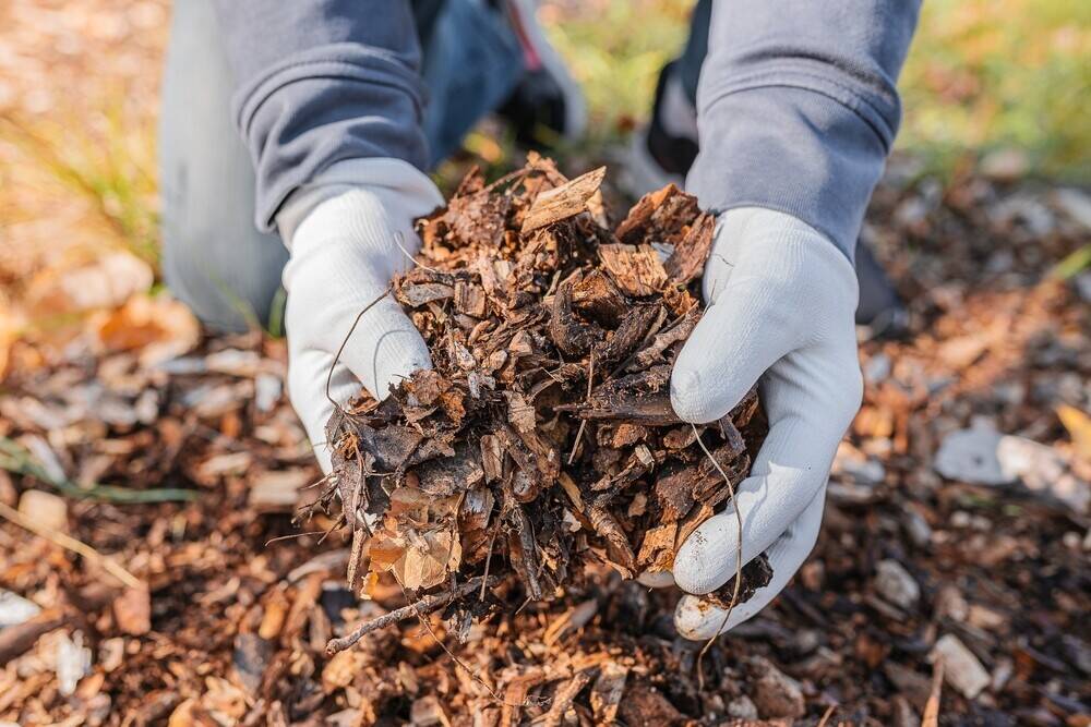 Established Garden Maintenance & Landscaping Business Photo 2
