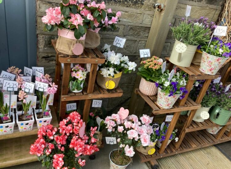 Bloom Into Business – Established Florist with Fantastic Returns Photo 3