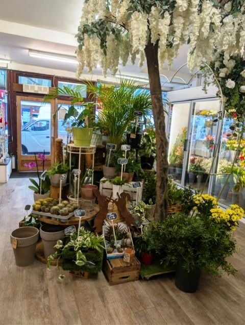 Florist for Sale