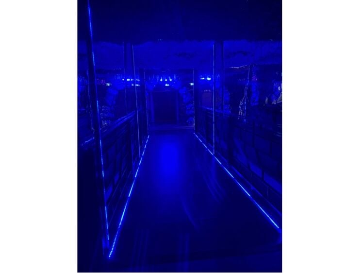 Havana: The Heartbeat of Burton Nightlife Photo 3