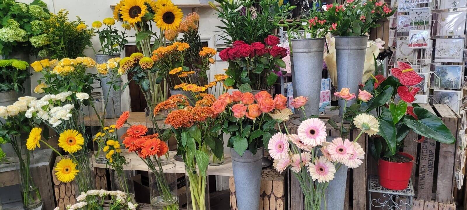 Florist and Fruit & Vegetable Greengrocers Well Established shop for sale