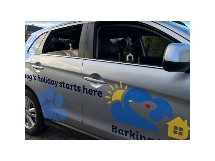Fetch Your Dream Career with Barking Mad! Photo 3