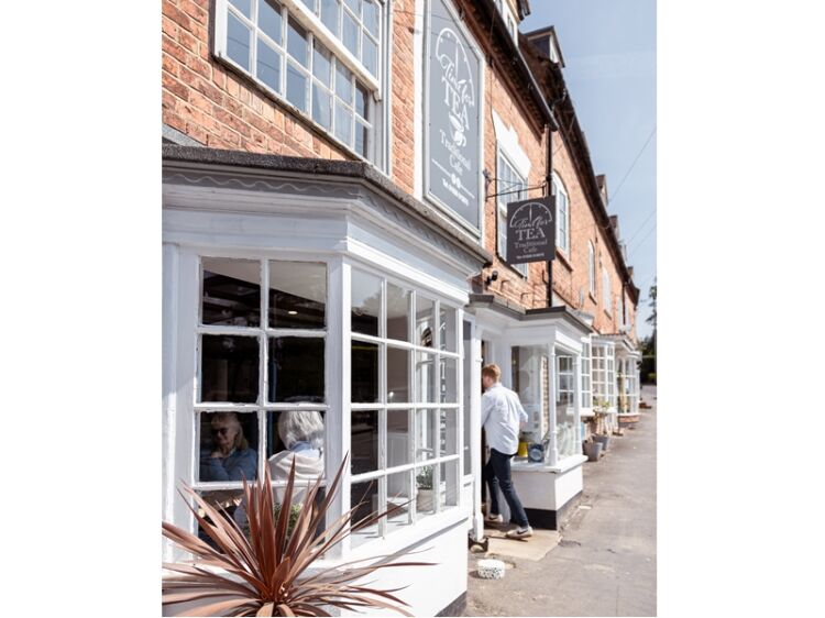 Sip, Serve & Succeed – A Cafe Worth Falling For