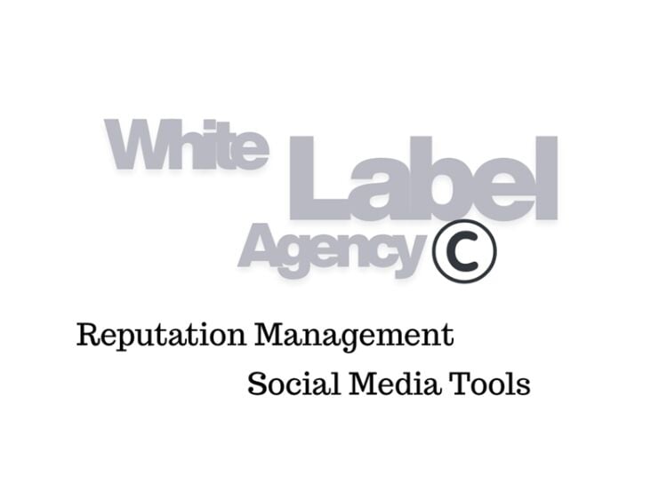 Automated Digital Media Business with Recurring Revenue Potential Photo 3