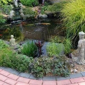 Specialist Pond Protection Supplier Photo 3