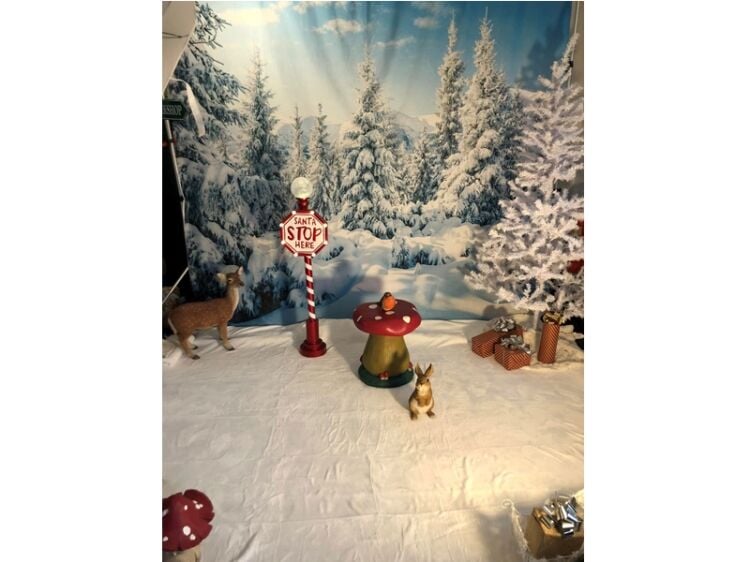 Where Magic Comes Alive – Established Fairy Photography Business Photo 3