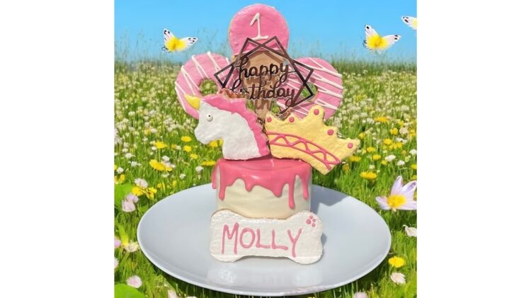 Award-Winning Dog Bakery Ecommerce Business with National Mail-Order Sales Photo 3