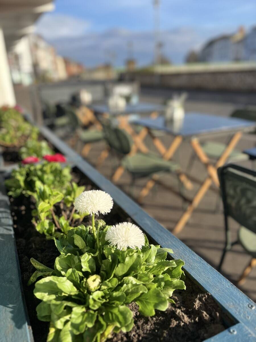 Popular cafe for sale in Bridgwater