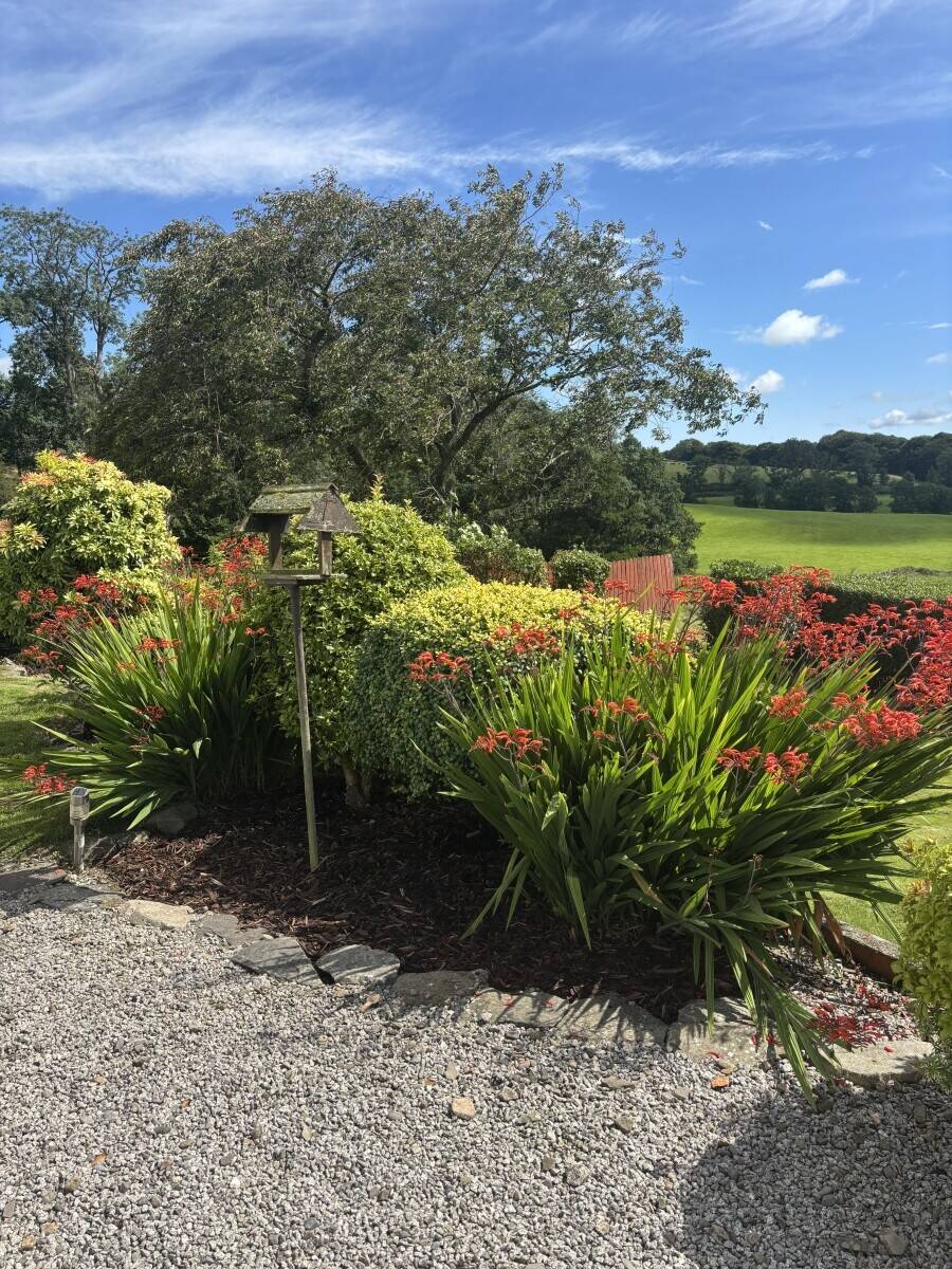 Airds Farm Guesthouse & Self Catering Cottage’s Photo 3