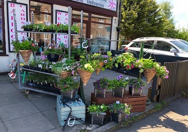Leasehold Established Florist Flowers Cards Plants Gifts Business Westhoughton Bolton For Sale