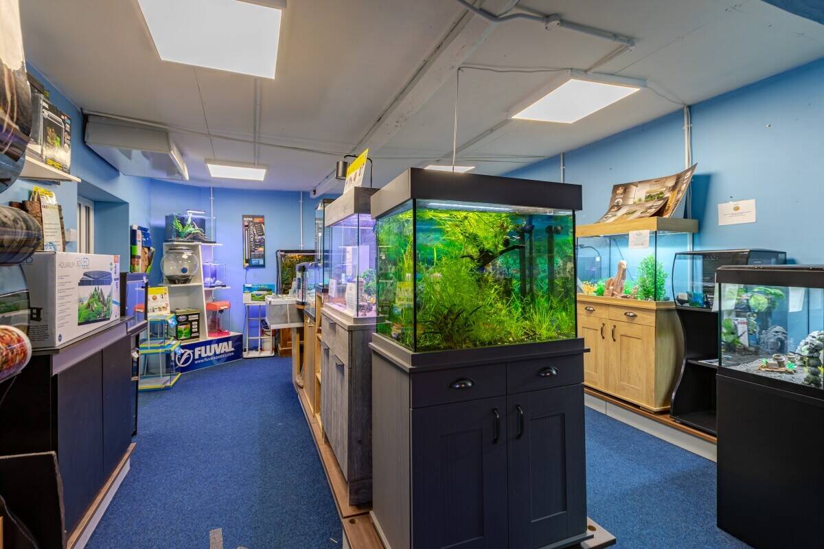 Established Aquatic and Pet Business with 4 bed Home North Yorkshire