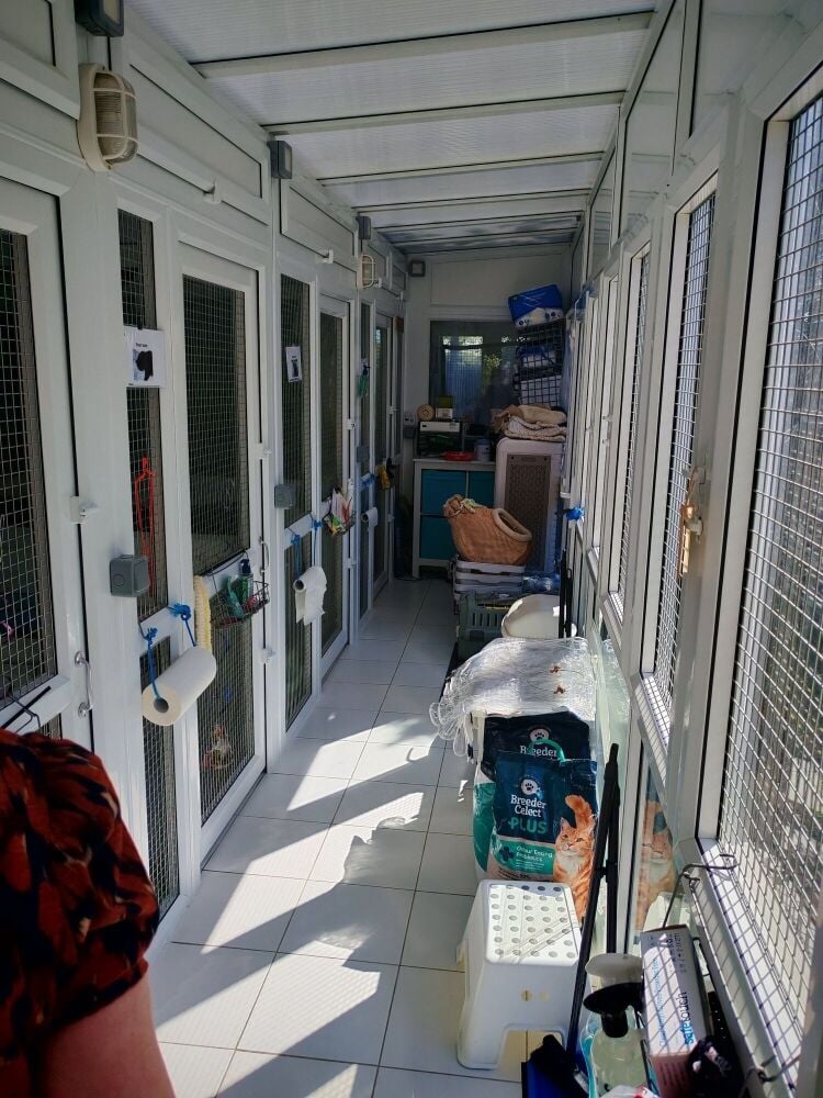 5-Star Licensed Cattery with Freehold Bungalow - Eastwood, Nottingham Photo 3
