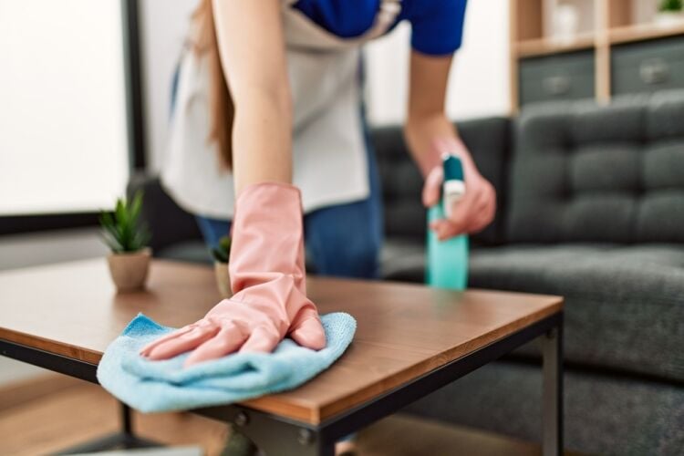 Established Domestic & Commercial Cleaning Business, Suffolk