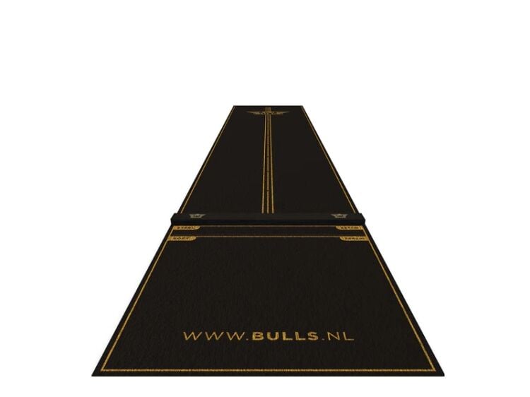 Aim for the Perfect Score – Online Darts Retail Business