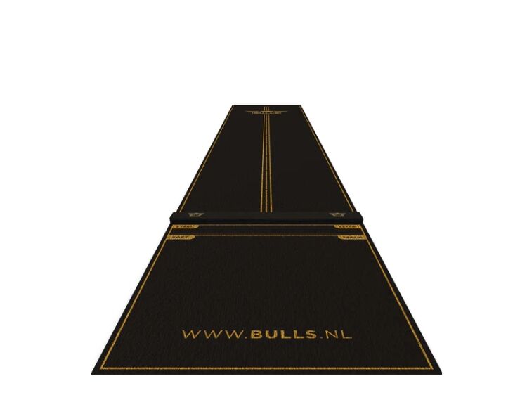 Aim for the Perfect Score – Online Darts Retail Business